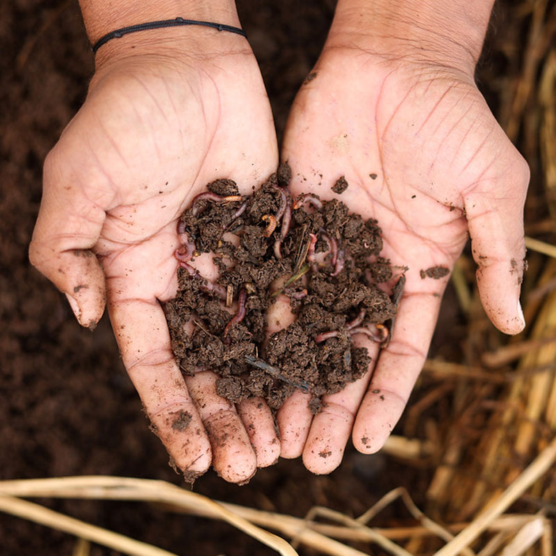 Natural & Organic Inputs Natural & Organic Inputs