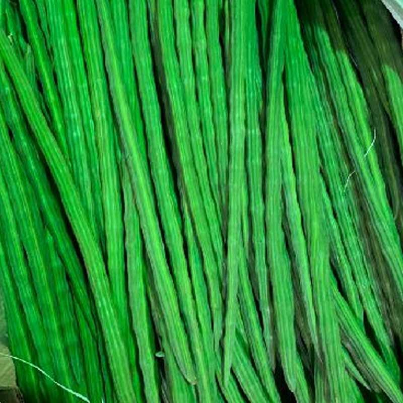 Fresh Drumstick (Moringa)
