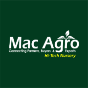 Commercial High-Density Organic Moringa Cultivation & Leaf Powder Processing Hub